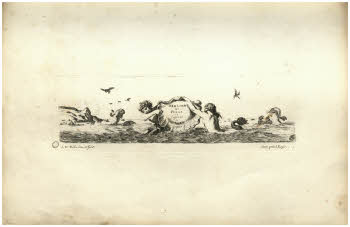 Vol.%20Z%20132%2C%20tav.%2041